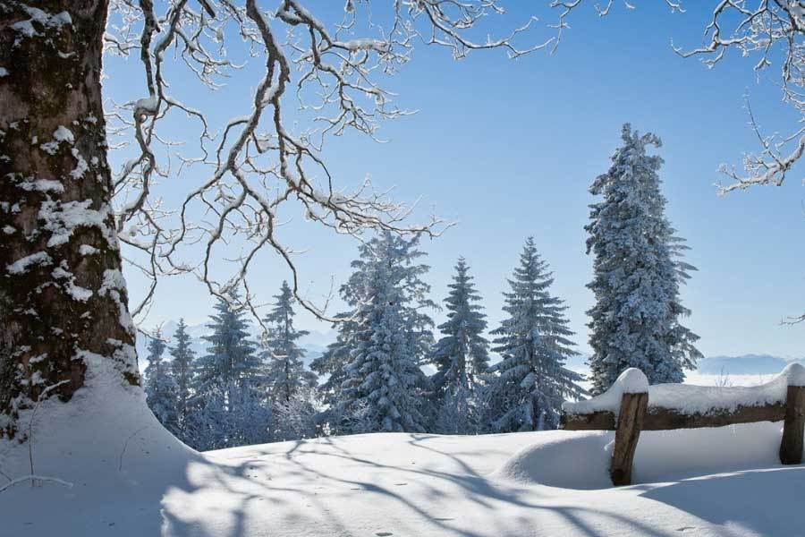 PG麻将模拟器-电子游戏改编电影票房成功