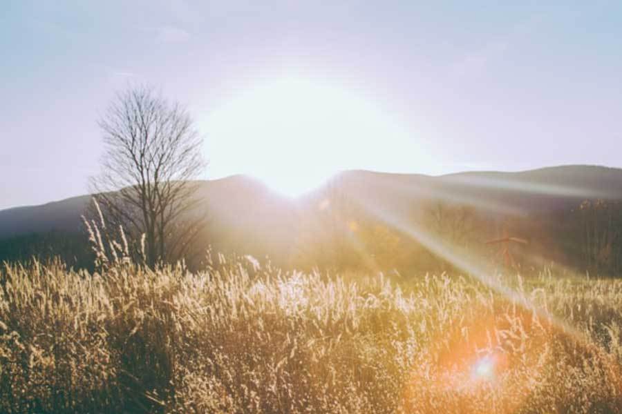 电子游戏改编电影票房成功