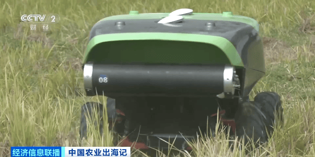 像打游戏一样种地！走进“伏羲农场”，看未来农业的中国智慧