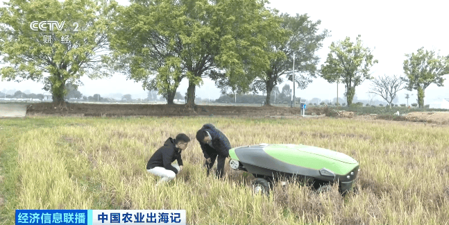 像打游戏一样种地！走进“伏羲农场”，看未来农业的中国智慧