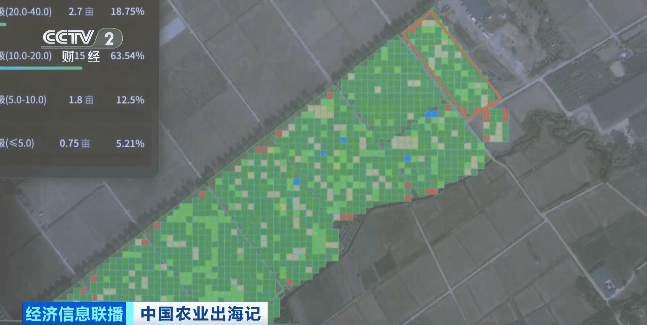 像打游戏一样种地！走进“伏羲农场”，看未来农业的中国智慧