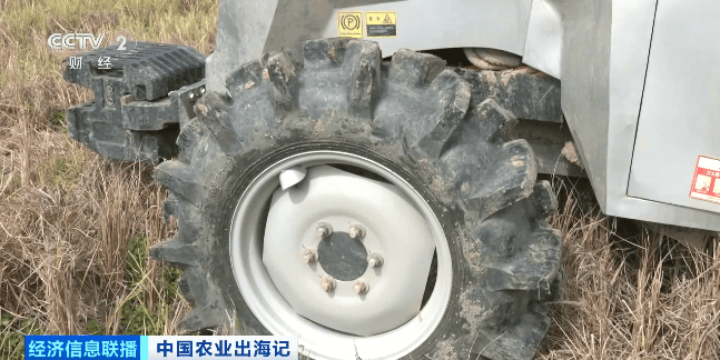 像打游戏一样种地！走进“伏羲农场”，看未来农业的中国智慧